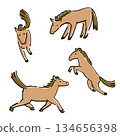 Perfect for the Year of the Horse in 2026! Cute horse color New Year illustrations 134656398