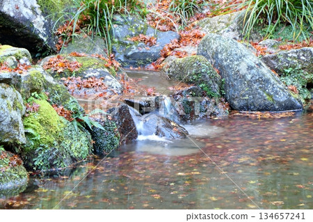 秋葉飄落，裝飾著清澈的溪流和寧靜的花園。 134657241