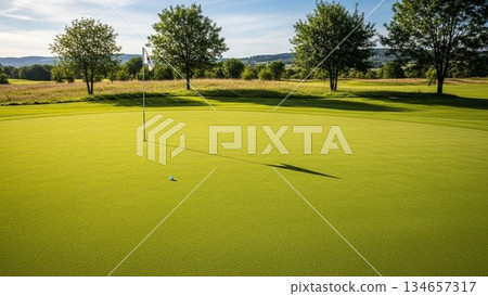 高爾夫果嶺 134657317