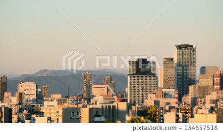 View of Nagoya city at sunrise View of Nagoya city at sunrise 134657518