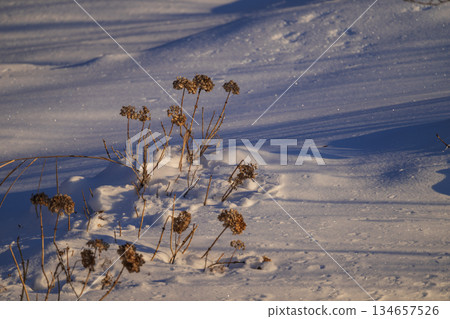 earth covered with snow earth covered with snow 134657526
