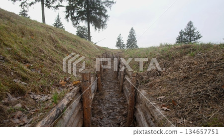 bleak frozen battlefield under icy winter sky, colorless and bare war zone with leafless trees and ice, somber winter landscape showing deserted trench with frozen ground and gray sky 134657751