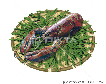 活龍蝦配柏樹葉 134658757