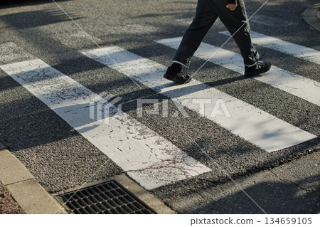 Japanese pedestrians 134659105