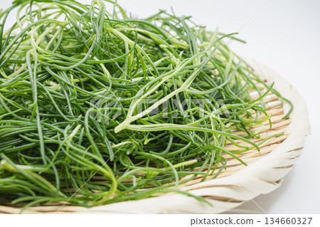 Saltwort Saltwort 134660327