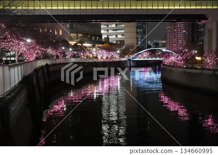 目黑川「人人點亮2025」鈴掛人行橋 目黑川「人人點亮2025」鈴掛人行橋 134660995