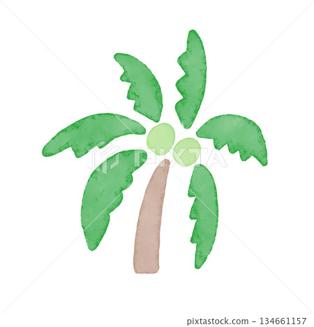 手繪水彩插畫，描繪了夏日風情。旅行和海灘度假的概念。畫面中有一棵椰子樹，結著兩顆果實。 134661157