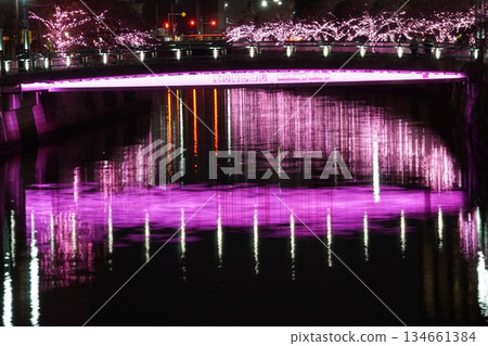 Meguro River Everyone's Illumination 2025 Morinaga Bridge Meguro River Everyone's Illumination 2025 Morinaga Bridge 134661384