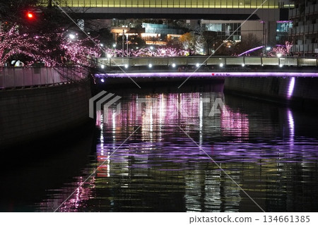 Meguro River Everyone's Illumination 2025 Koseki Bridge Meguro River Everyone's Illumination 2025 Koseki Bridge 134661385
