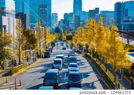 消防街兩旁種滿了金黃色的銀杏樹 [秋景] 134661725