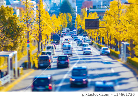 微縮景觀：火街兩旁種滿了金黃色的銀杏樹 [秋季景象] 134661726