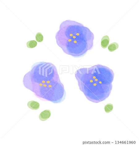 簡單的水彩藍色花朵 134661960