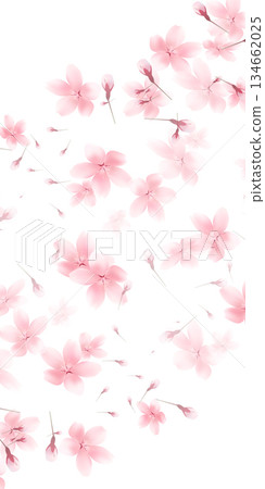Cherry blossom spring landscape background 134662025