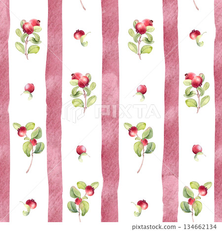 Lingonberry and cranberry on striped seamless pattern watercolor hand drawn. Natural floral ornament with red berries on white. Summer repeat texture for fabric, textile, wallpaper. Lingonberry and cranberry on striped seamless pattern watercolor hand drawn. Natural floral ornament with red berries on white. Summer repeat texture for fabric, textile, wallpaper. 134662134
