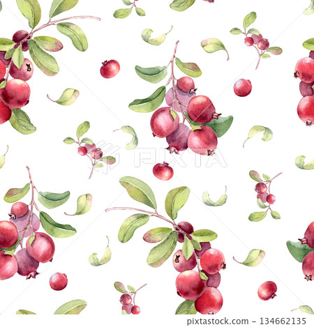 Fresh summer watercolor seamless pattern on white. Lingonberry and cranberry plants illustration hand painted. Botanical repeat with red berry and green foliage for textile, fabric, fabric print. Fresh summer watercolor seamless pattern on white. Lingonberry and cranberry plants illustration hand painted. Botanical repeat with red berry and green foliage for textile, fabric, fabric print. 134662135