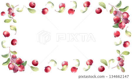 Watercolor lingonberry frame with green leaves and red berries on white background. Hand drawn botanical art for greeting card, invitation, or festive design. Wild red berries for packaging superfood. 134662147