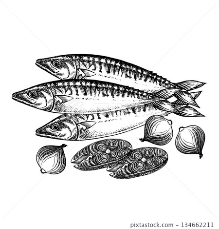 Mackerel with onions. Hand-drawn vector illustration. Black and white image of a fish dish. On a white background. For menus, recipe books, packaging, labels, and invitations. Mackerel with onions. Hand-drawn vector illustration. Black and white image of a fish dish. On a white background. For menus, recipe books, packaging, labels, and invitations. 134662211
