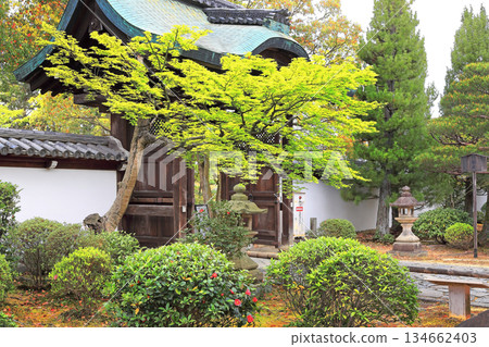 Chishaku-in Temple, Head Temple of the Chizan School of Shingon Buddhism 134662403