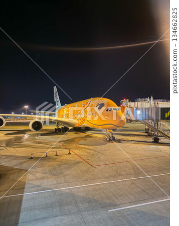 成田機場夜間全日空飛行海龜停放的飛機邊緣垂直 成田機場夜間全日空飛行海龜停放的飛機邊緣垂直 134662825
