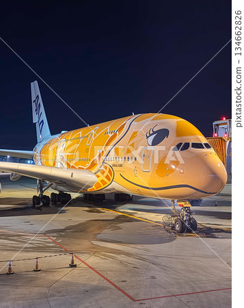 成田機場夜間全日空飛行海龜停放的飛機邊緣垂直 成田機場夜間全日空飛行海龜停放的飛機邊緣垂直 134662826