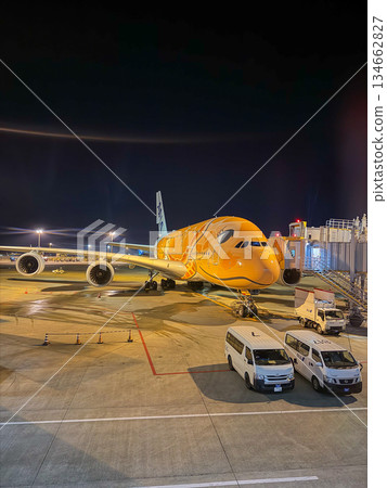 成田機場夜間全日空飛行海龜停放的飛機邊緣垂直 成田機場夜間全日空飛行海龜停放的飛機邊緣垂直 134662827