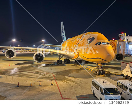 全日空「飛翔的海龜號」飛機在成田機場停放，邊緣，水平方向 134662829