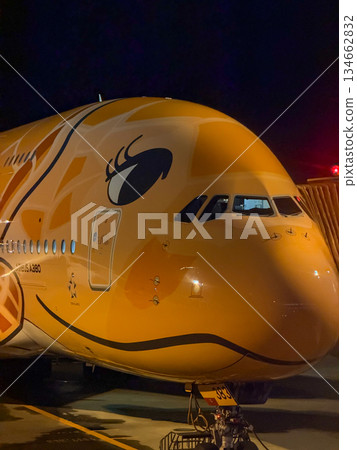 成田機場夜間全日空飛行海龜停放的飛機邊緣垂直 134662832