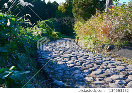 Stone-paved road along the Kikugawa slope of the old Tokaido road, Shimada City Stone-paved road along the Kikugawa slope of the old Tokaido road, Shimada City 134663382