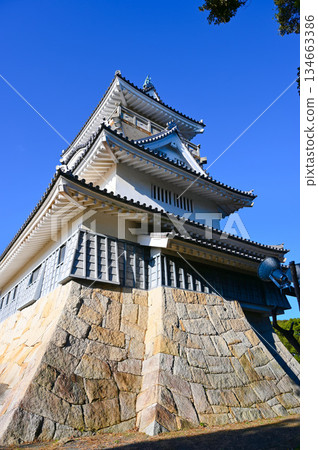 Oyama Castle Tower Yoshida Town 134663386