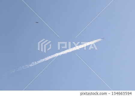 Airplane clouds and birds 134663594
