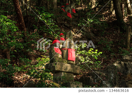 A row of Jizo statues with red hats in the forest (Jakkoin Temple) 134663616