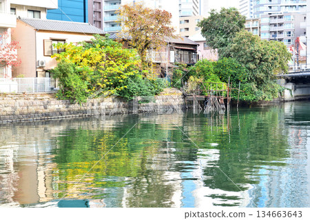 The scenery reflected in the canal near Kiyosumi Street 134663643