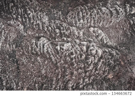 Ancient rock terrain with gavel and ridge texture Ancient rock terrain with gavel and ridge texture 134663672