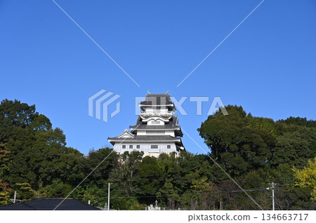 大山城 吉田町 134663717