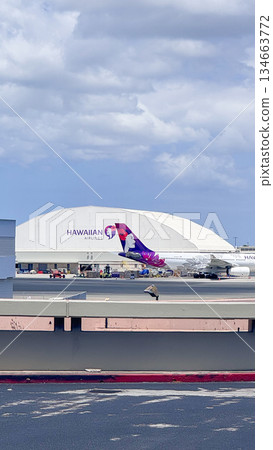 夏威夷丹尼爾井上國際機場 停放的飛機 機場景色 空白處 134663772
