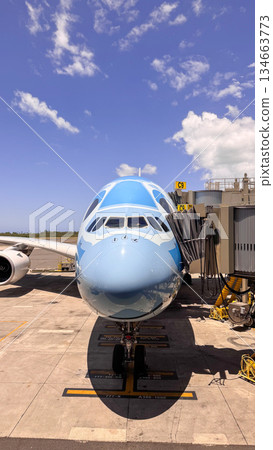 Hawaii Daniel K. Inouye International Airport Parked airplane Airport scenery Blank space 134663773