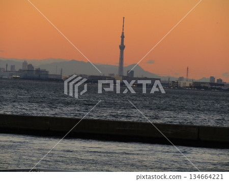 從檢見川海灘看到的夕陽下漂浮的天空樹 從檢見川海灘看到的夕陽下漂浮的天空樹 134664221