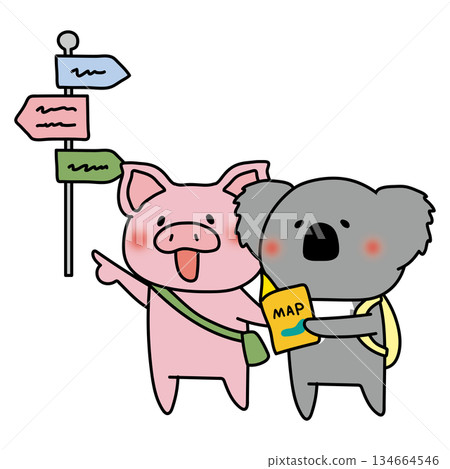 A pig and a koala sightseeing while looking at a map A pig and a koala sightseeing while looking at a map 134664546