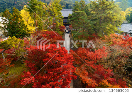 From the Sanmon Gate of Nanzenji Temple_1946 From the Sanmon Gate of Nanzenji Temple_1946 134665003
