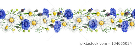 Chamomile flowers with blue cornflowers seamless border decor element vintage style watercolor illustration. Hand drawn wildflower meadow flowers floral rustic decoration isolated on white background 134665034