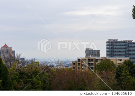 寶塚遠景 134665610