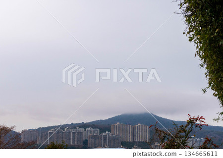 寶塚遠景 134665611