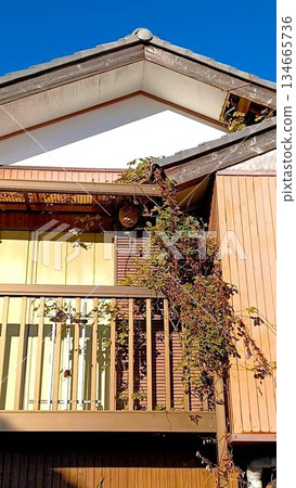 A dilapidated building (two stories) and a hornet's nest 134665736