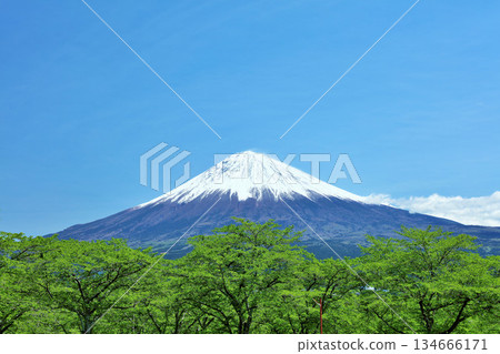 Early summer blue sky and fresh green scenery, and Mt. Fuji Early summer blue sky and fresh green scenery, and Mt. Fuji 134666171