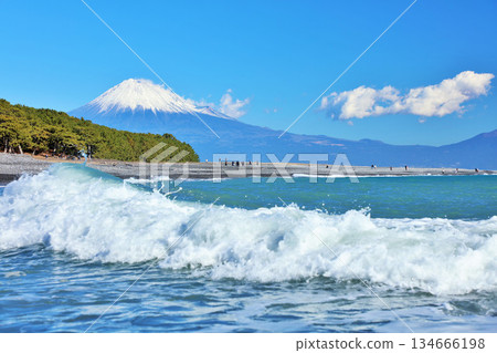 在靜岡縣藍天的美穗沒松原和富士山 134666198