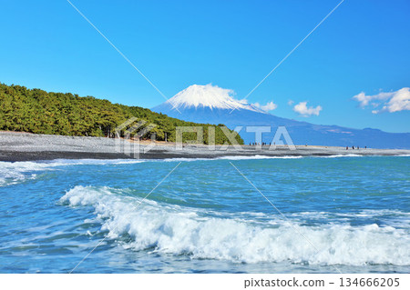 在靜岡縣藍天的美穗沒松原和富士山 在靜岡縣藍天的美穗沒松原和富士山 134666205