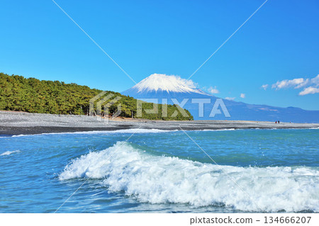 Miho no Matsubara and Mt. Fuji in Shizuoka prefecture blue sky 134666207