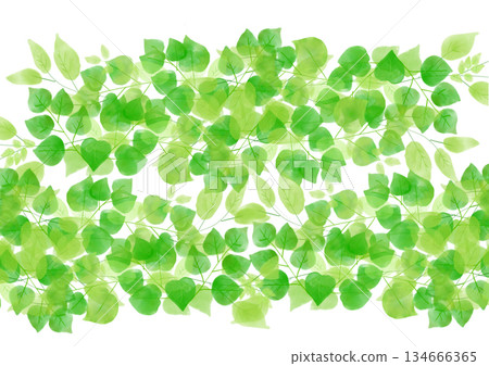 手繪水彩葉子插圖背景素材 134666365