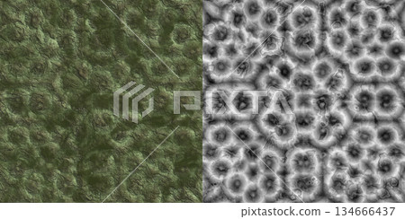 Limestone texture background. Limestone background via an alpha channel. Limestone texture background. Limestone background via an alpha channel. 134666437
