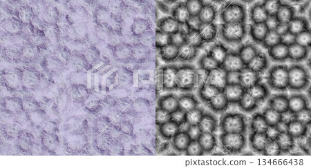 Limestone texture background. Limestone background via an alpha channel. Limestone texture background. Limestone background via an alpha channel. 134666438